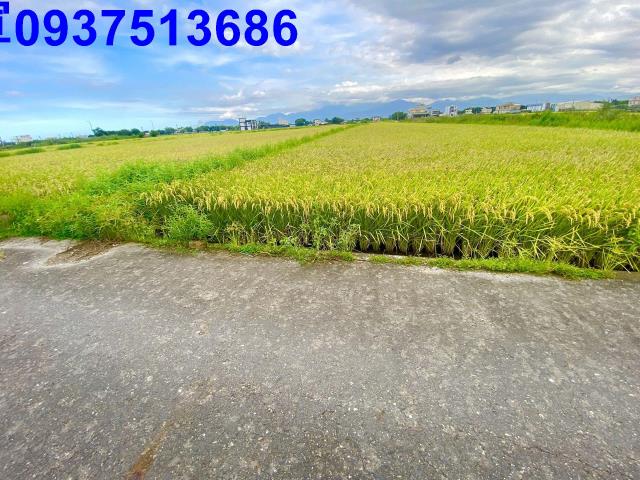 宜蘭農地-14