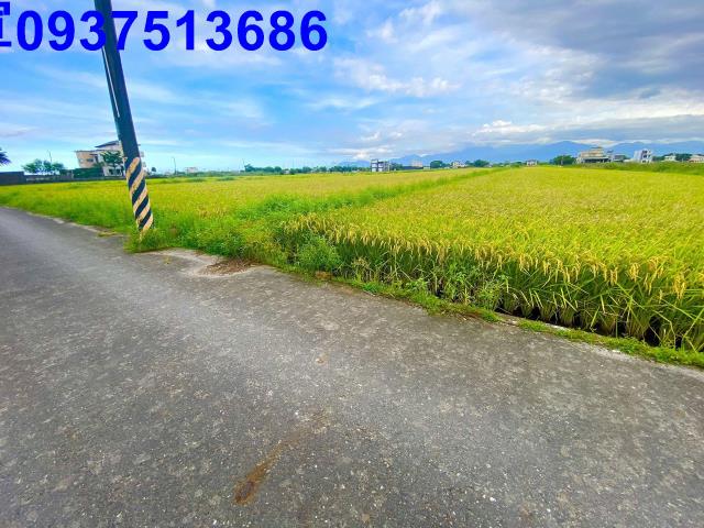 宜蘭農地-2
