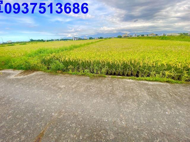 宜蘭農地-3