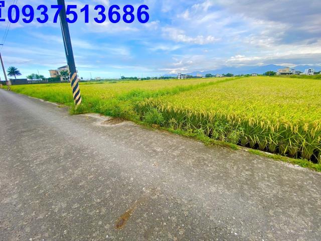 宜蘭農地-8