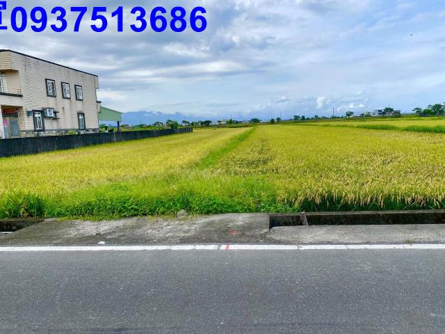 宜蘭農地-10