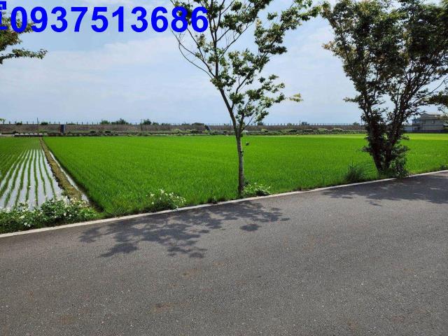 宜蘭農地-13