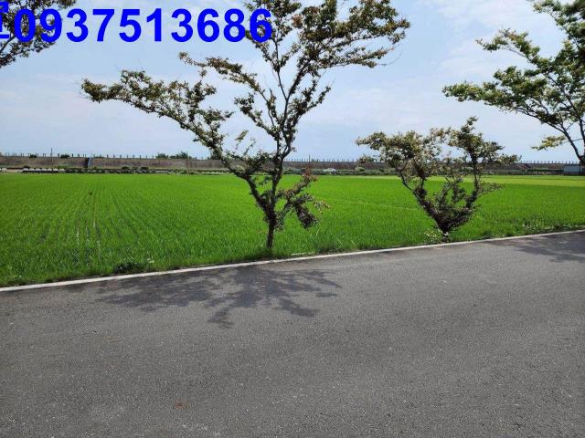 宜蘭農地-2
