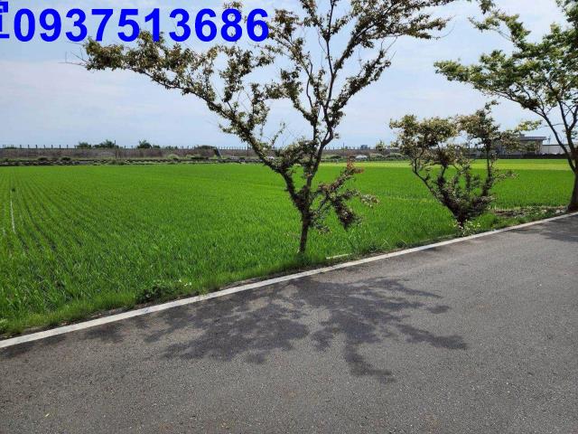 宜蘭農地-3