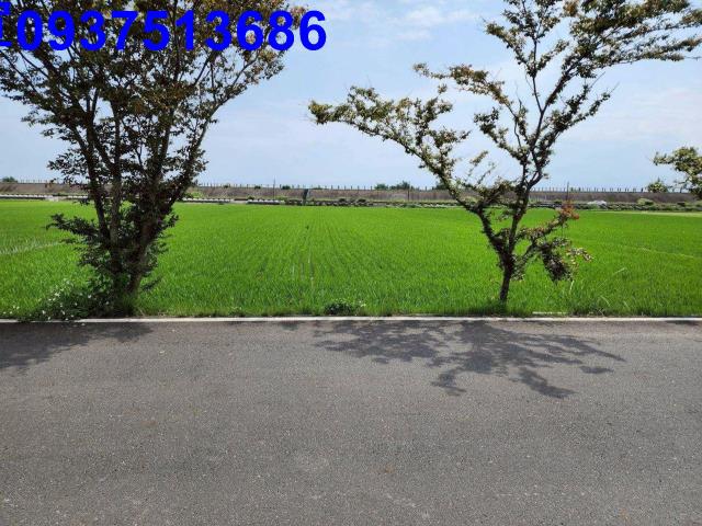 宜蘭農地-5