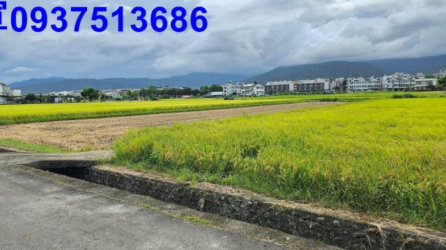 宜蘭農地-14