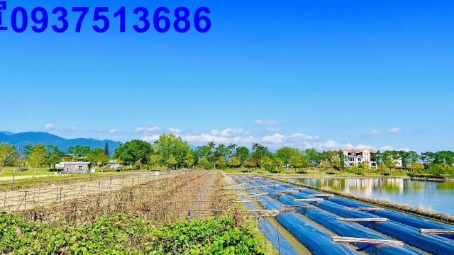 宜蘭三星農地-13