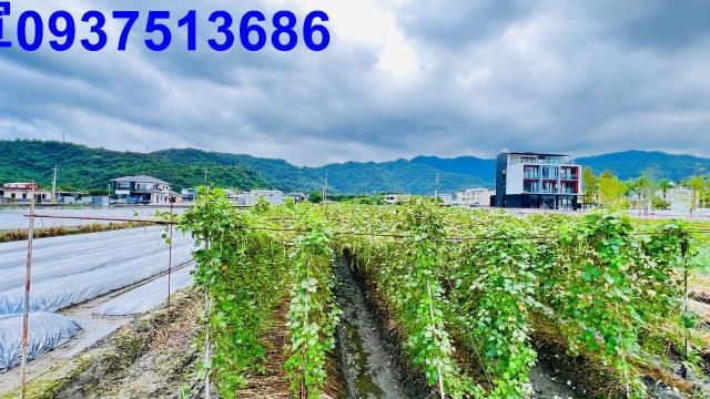 宜蘭三星農地-3