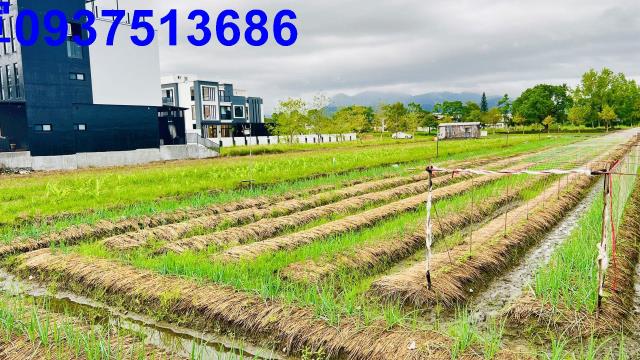 宜蘭三星農地-4
