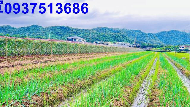 宜蘭三星農地-8