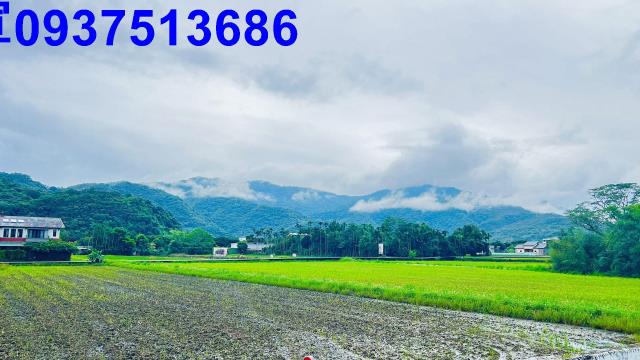 宜蘭三星農地-9