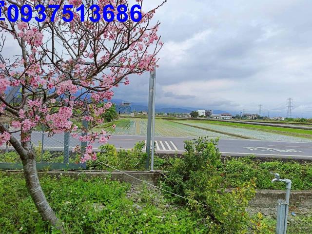 宜蘭三星農地-1
