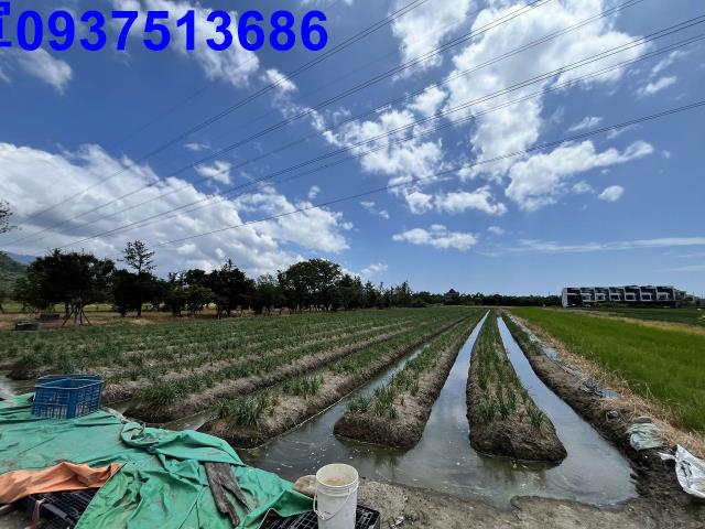 宜蘭農地-4