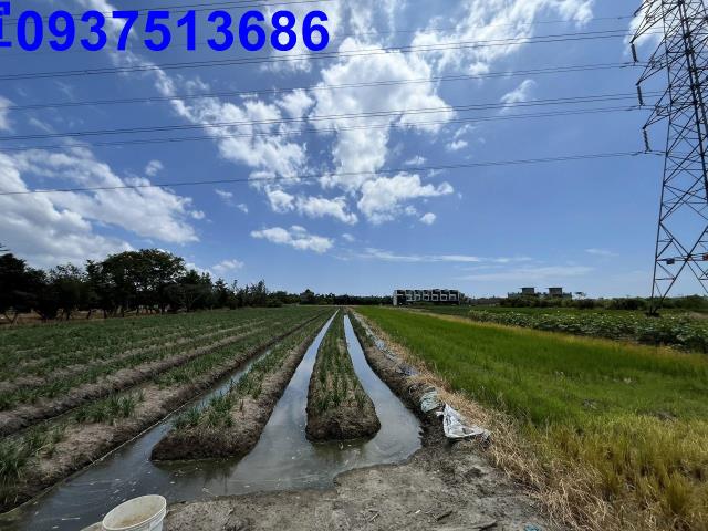 宜蘭農地-5
