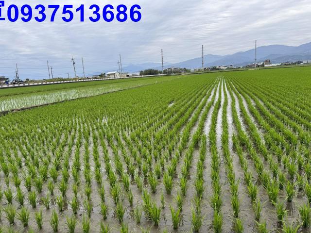 宜蘭壯圍農地-9