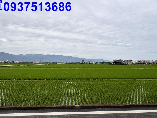宜蘭壯圍農地-10