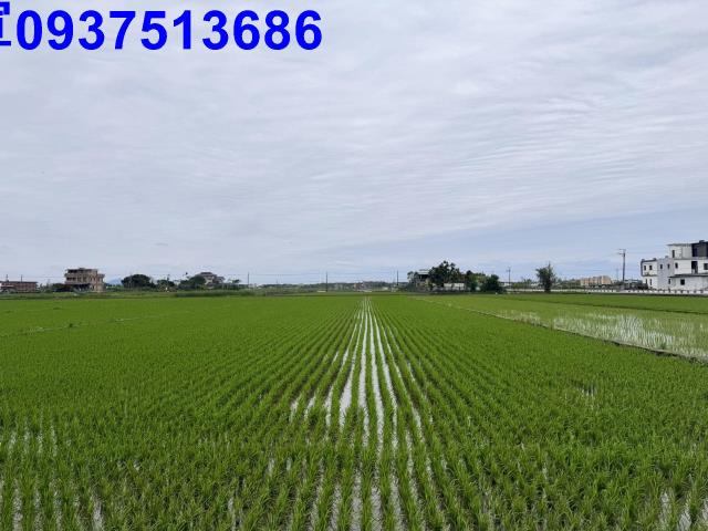 宜蘭壯圍農地-14
