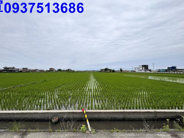 宜蘭壯圍農地-0