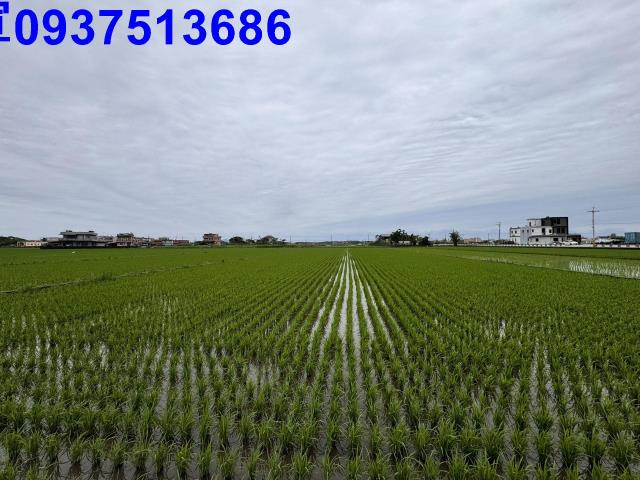 宜蘭壯圍農地-1