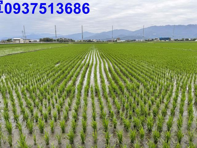 宜蘭壯圍農地-3