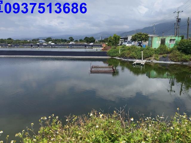 頭城農地-1