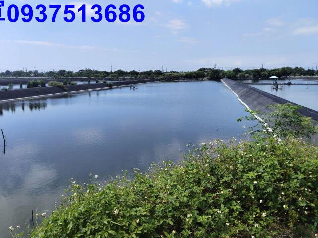 頭城農地-2