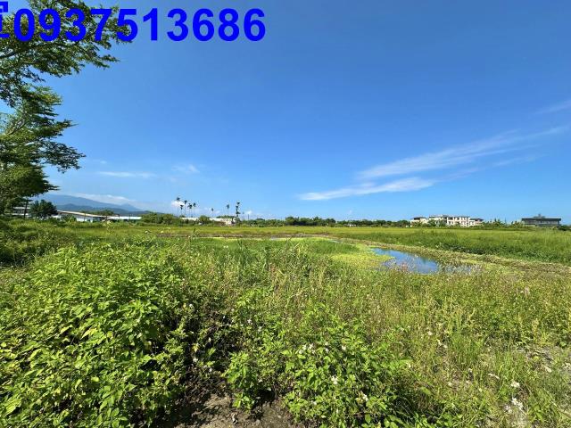 宜蘭市農地-4