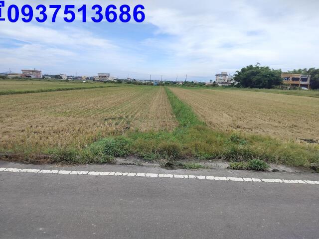 宜蘭壯圍農地-0