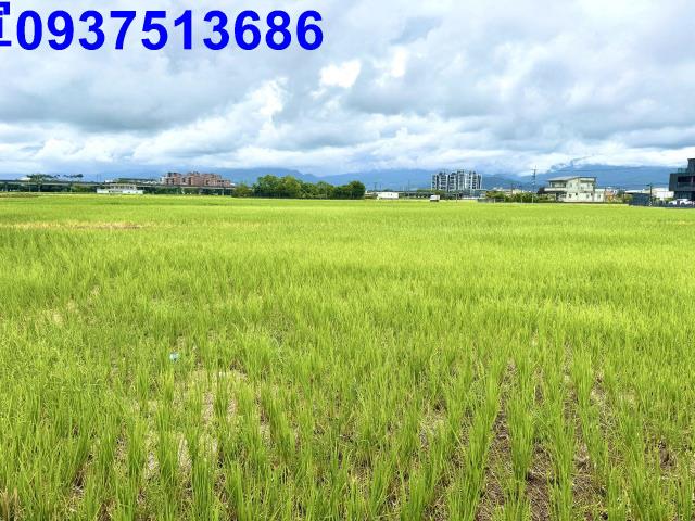 宜蘭宜蘭市農地-5