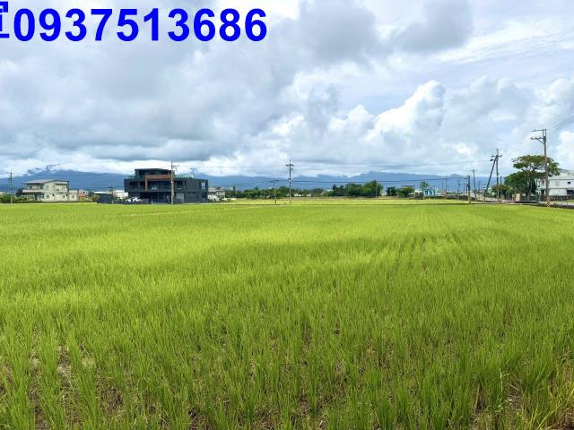 宜蘭宜蘭市農地-1