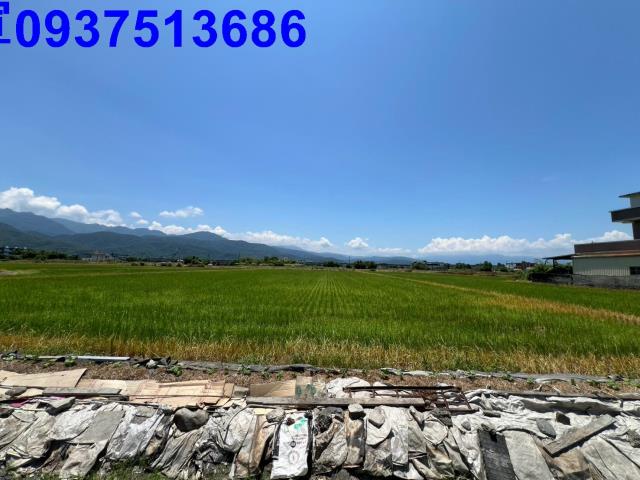 宜蘭農地-3