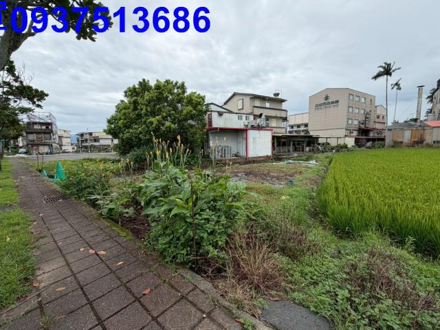 宜蘭宜蘭市農地-0