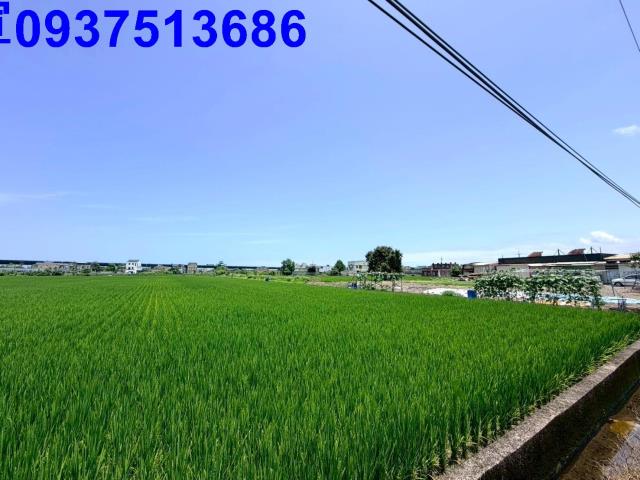 宜蘭宜蘭市農地-0