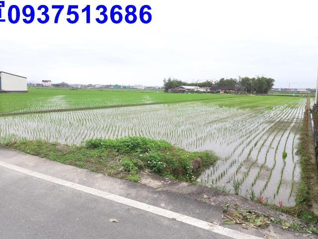 宜蘭礁溪農地-1