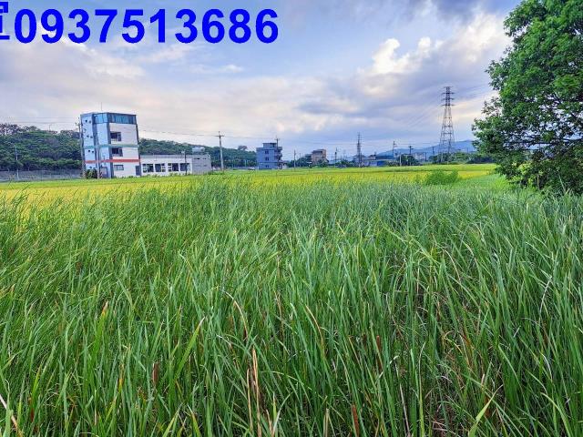 宜蘭礁溪農地-0