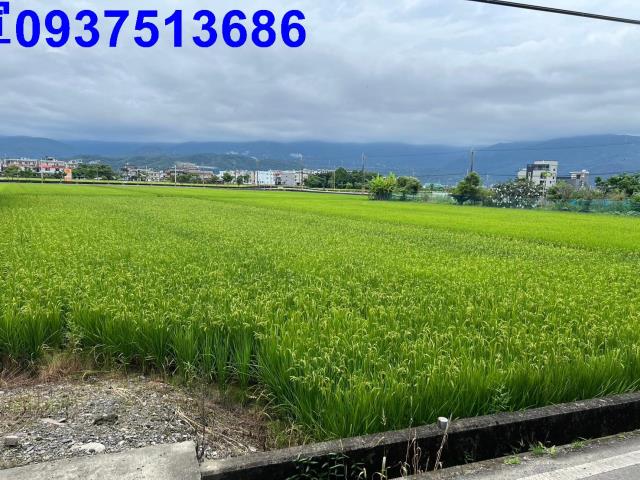 宜蘭礁溪農地-0