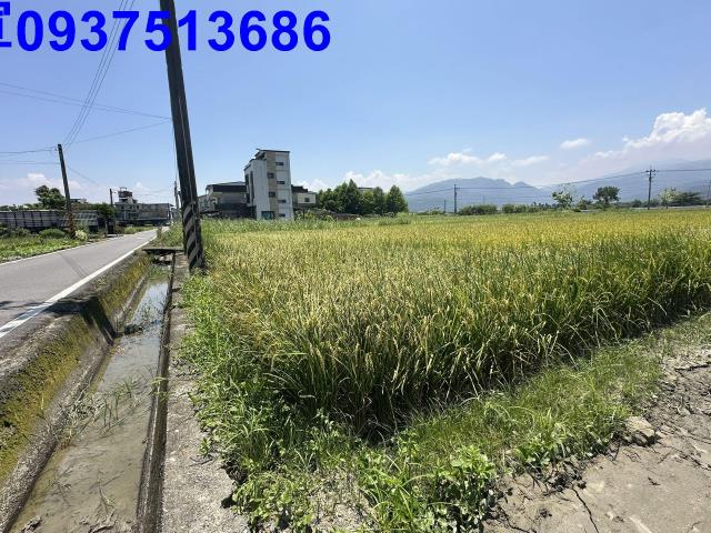 宜蘭農地-2
