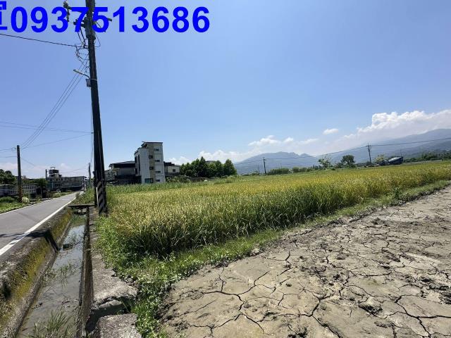 宜蘭農地-5