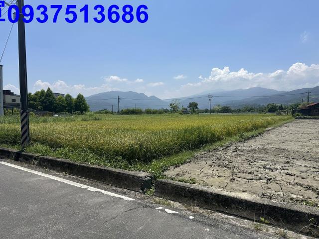 宜蘭農地-6