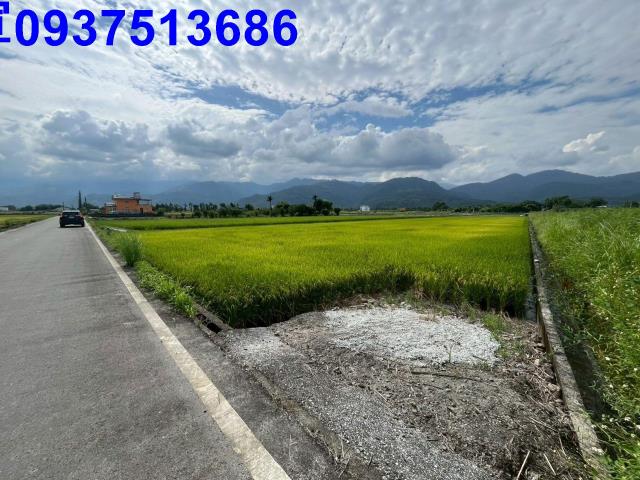 宜蘭農地-8