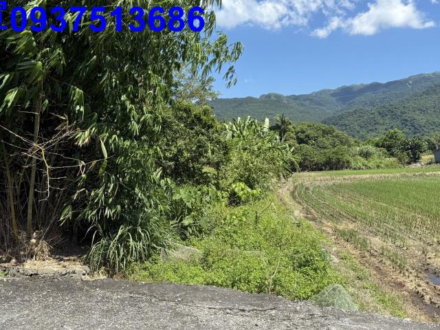 宜蘭頭城農地-13