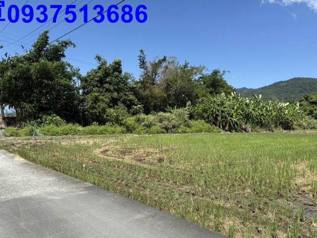 宜蘭頭城農地-5