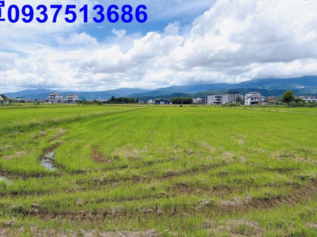 宜蘭礁溪農地-6