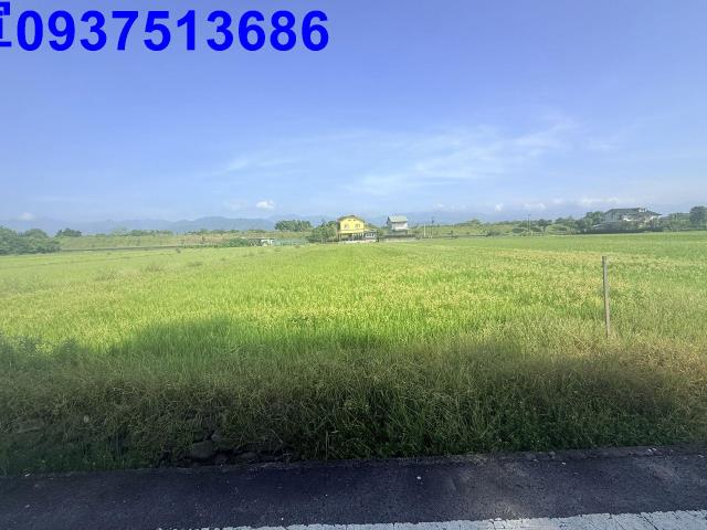 宜蘭三星農地-13