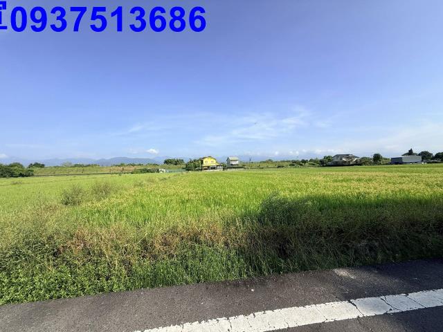 宜蘭三星農地-3