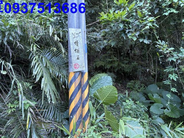 宜蘭頭城林地-9
