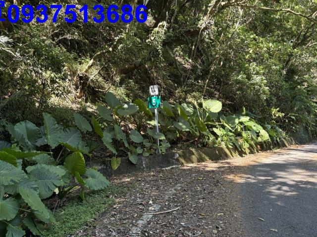 宜蘭頭城林地-12