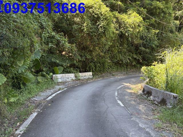 宜蘭頭城林地-0