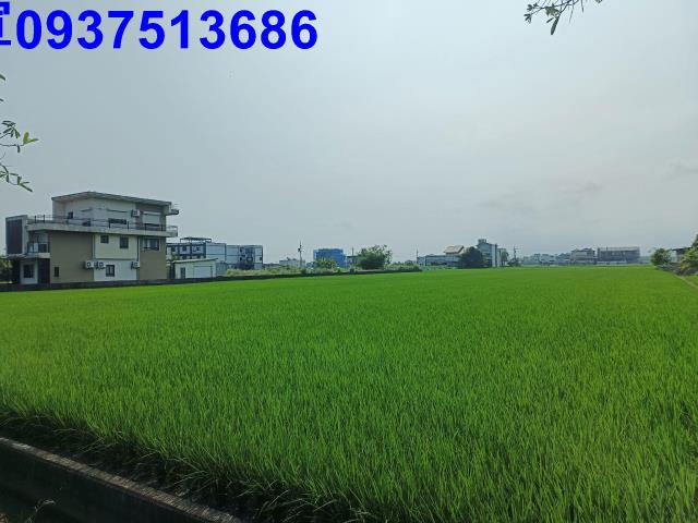 壯圍農地-0