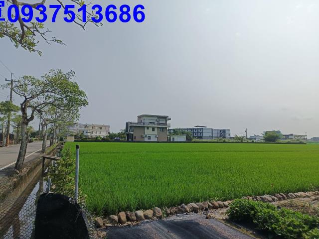 壯圍農地-8